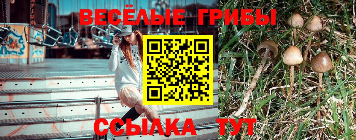 Псилоцибиновые грибы прущие грибы Усть-Илимск